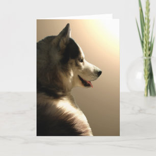 Cartão Siberiano Husky / Cartão Malamute do Alas