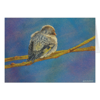 Cartão Siesta de Siskin