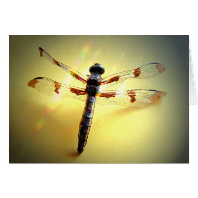 Cartão Siga a luz - Dragonfly apenas (Frente Horizontal)