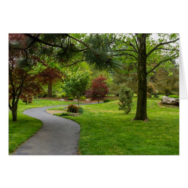 Cartão Siga o Painel de Caminho (Frente Horizontal)