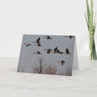 Cartão Siga seu coração - gansos