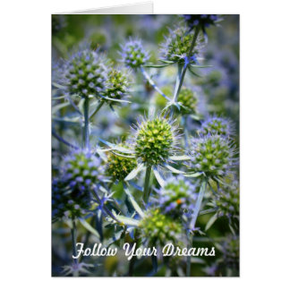 Cartão Siga seus sonhos