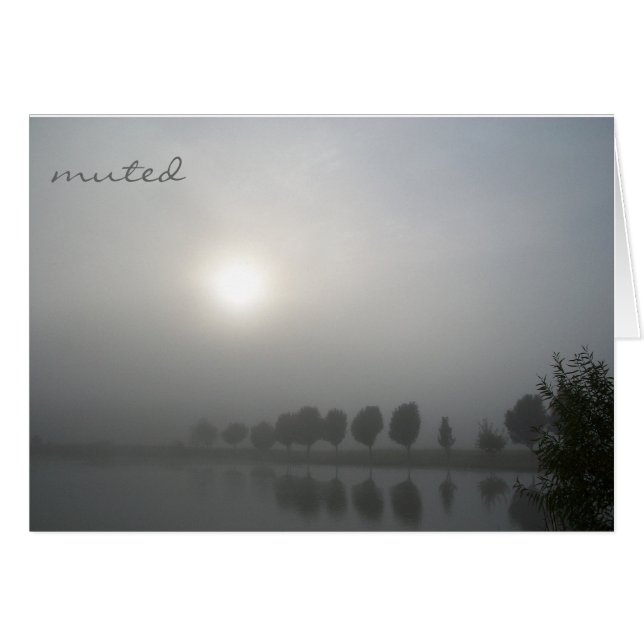 Cartão Silenciado (Frente Horizontal)