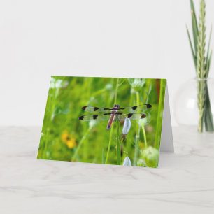 Cartão Silencioso maravilha vazio saudação Dragonfly