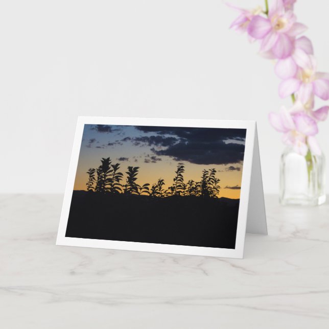 Cartão Silhueta de Folhas à Noite (Orquídea)