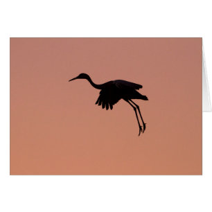 Cartão Silhueta Sandhill sobre um céu cor-de-rosa