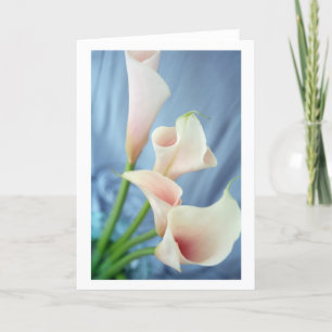 Cartão Silk Parade White Calla Lily Greeting Cards