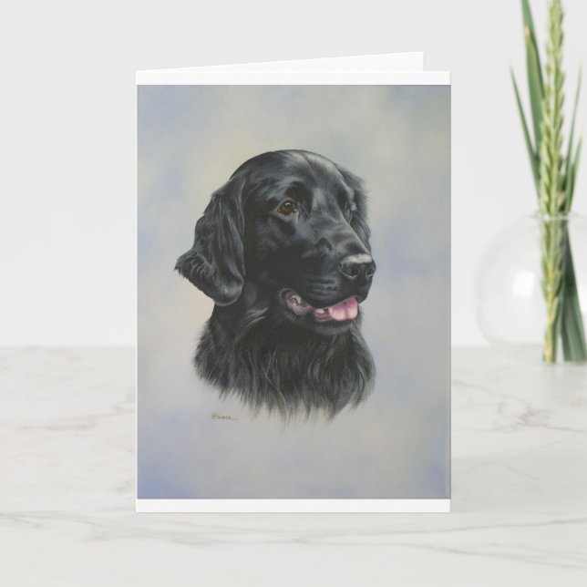 Cartão Silka (Frente)