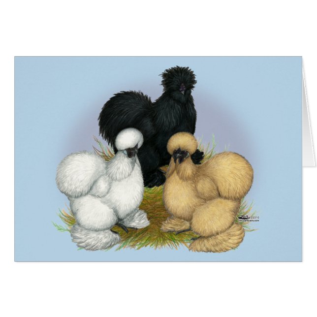 Cartão Silkie Trio (Frente horizontal)