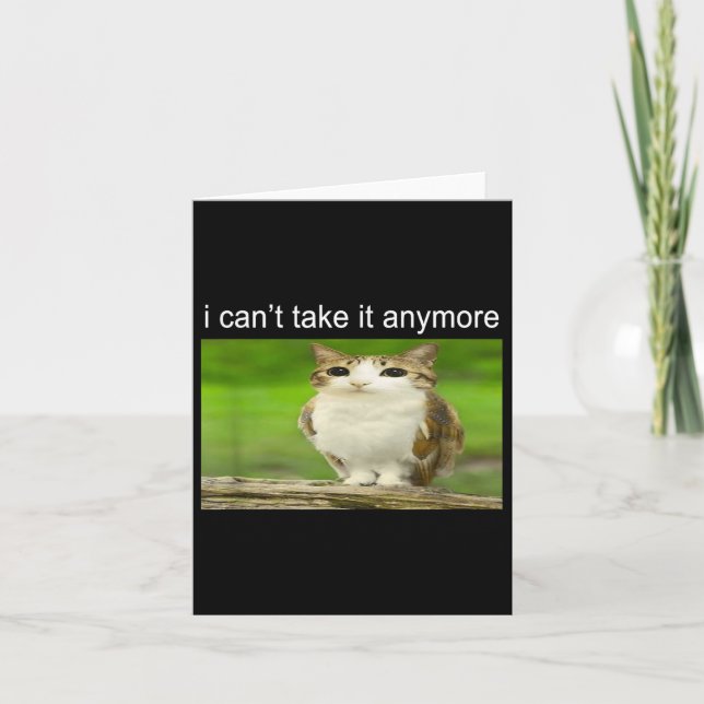 Cartão Silly Owl Cat Meme I Can't Take It Anymore  (Frente)