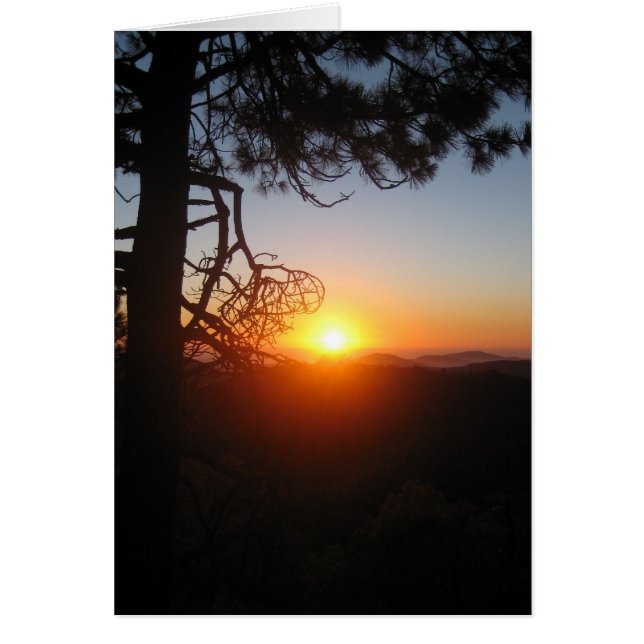 Cartão silouettes solares 2 (Frente)