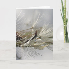 Cartão Silver Dandelion Poof Shimmers em Sol