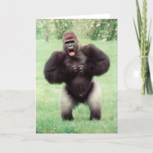 Cartão Silverback Gorilla Beating Chest