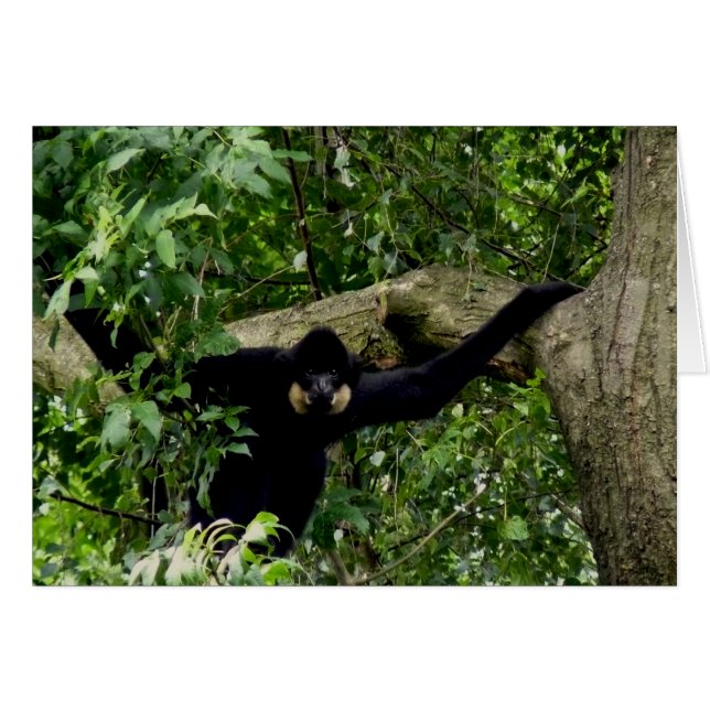 Cartão Sim, você! (Frente horizontal)