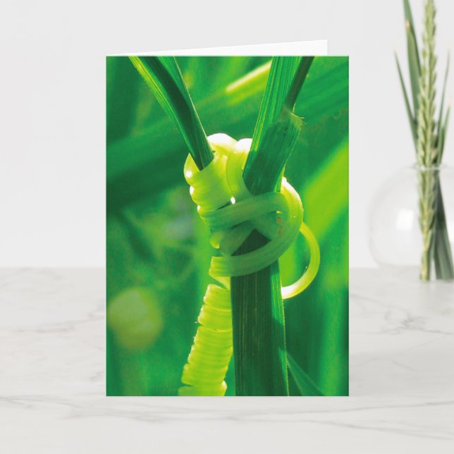 Cartão Sim, Você Pode! Rosie, a Rebitadeira Trepadeira Ga (Frente)