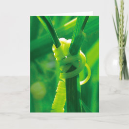 Cartão Sim, Você Pode! Rosie, a Rebitadeira Trepadeira Ga