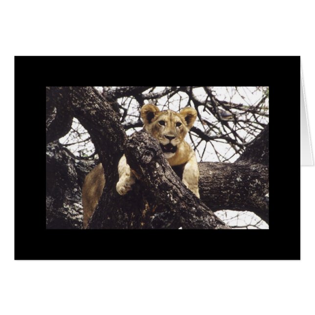 Cartão Simba novo (Frente Horizontal)