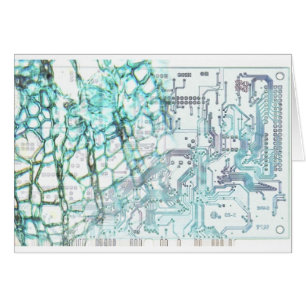 Cartão simbiose - conceito