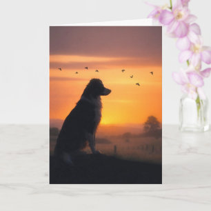 Cartão Simpatia Canina Border Collie no Pôr do Sol Condol