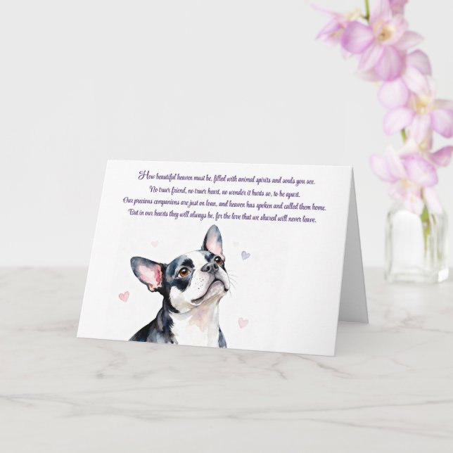 Cartão Simpatia Canina Boston Terrier com Memorial (Orquídea)