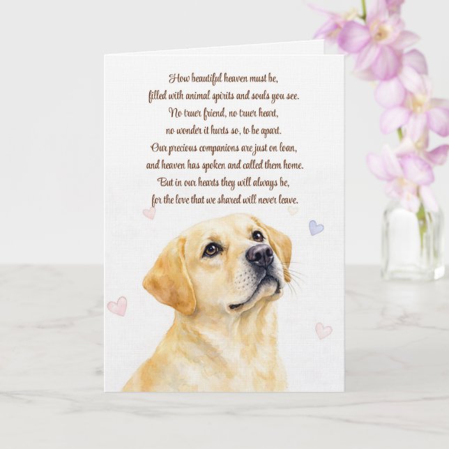 Cartão Simpatia Canina Labrador Retriever Amarelo  (Orquídea)