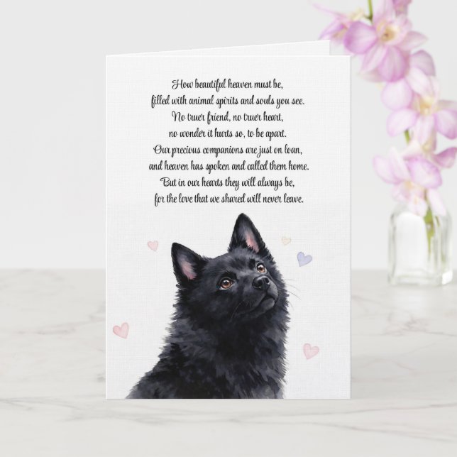 Cartão Simpatia Canina Schipperke Perda Espiritual (Orquídea)