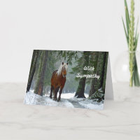 Simpatia das Aquarelas da Floresta Equina