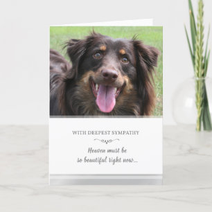 Cartão Simpatia de Cão FOTO Personalizada O Céu Deve Ser