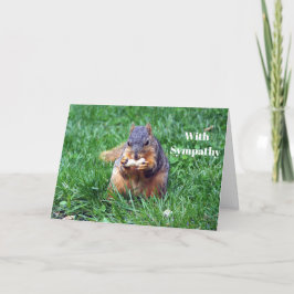 Cartão Simpatia de Foto de Peanut de Esquilo Bonito