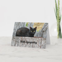 Simpatia de Foto do Log de Gato Preto bonito