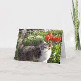 Cartão Simpatia de Gato com Tulipas Vermelhas