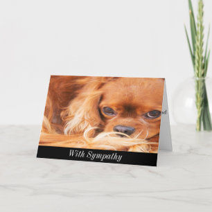 Cartão Simpatia Doce Cavaleiro Rei Charles Spaniel Card
