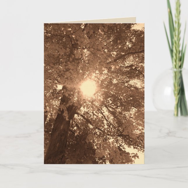 Cartão Simpatia e esperança (Frente)