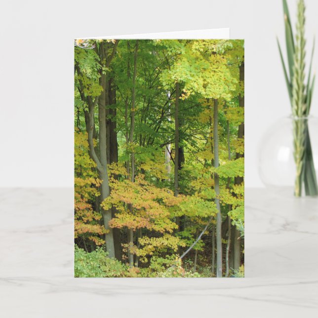 Cartão Simpatia - Floresta Silenciosa (Frente)