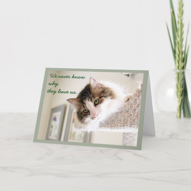 Cartão Simpatia Fluffy Cat Face (Frente)