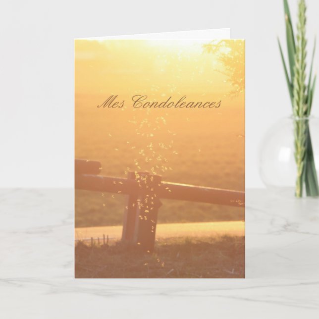 Cartão Simpatia Francesa Mosquito Sunlight (Frente)