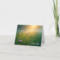 Simpatia Obrigado Wildflower Field
