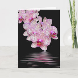 Cartão Simpatia Orquídea Rosa Reflexão Negra