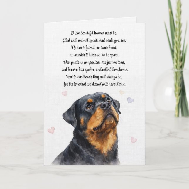 Cartão Simpatia pelo Cão Rottweiler Pêsames (Frente)