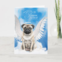 Simpatia pelo Pet Perda de um Cão Pug Anjo