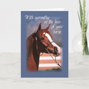 Cartão Simpatia Perda de Cavalo, Azul