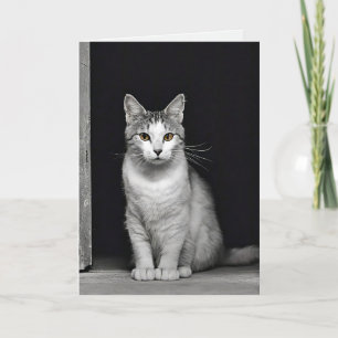 Cartão Simpatia por perda de gatinho