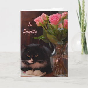 Cartão Simpatia por perda de gato com rosas rosa