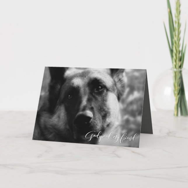 Cartão Simpatia por perda de german shepherd (Frente)