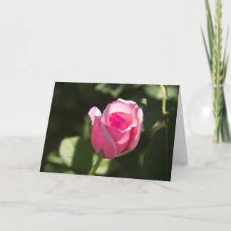 Cartão Simpatia rosa rosa rosa rosa com cabeça