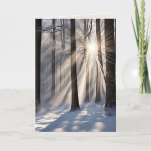 Cartão Simpatia Sunbeams Na Floresta De Inverno