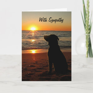 Cartão Simpatia - Sunset e Dog on Beach Card