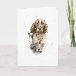Cartão Simples Cachorro Spaniel Springer Engraçado Fofo A