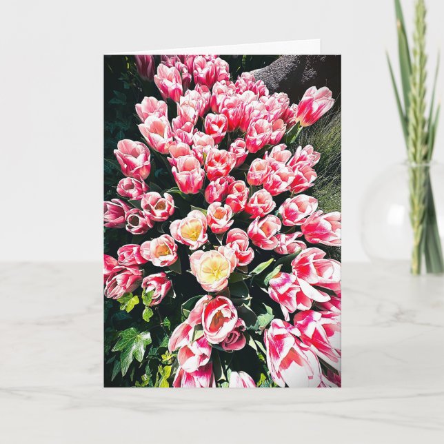 Cartão Simples Tulipas da Primavera (Frente)