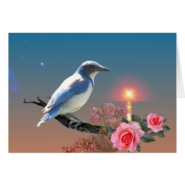 Cartão Simplicidade (Frente Horizontal)